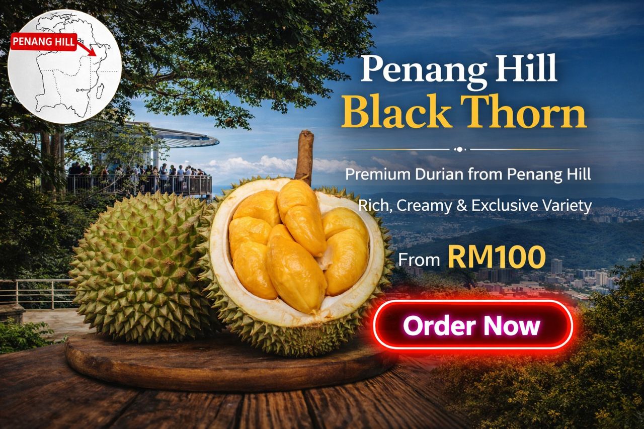 WhatsApp Image 2026-03-19 at 6.57.53 PM