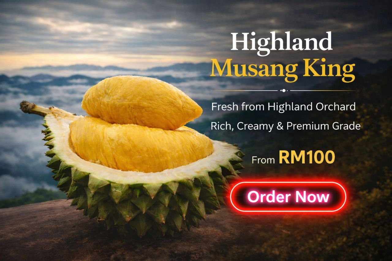 WhatsApp Image 2026-03-19 at 7.01.10 PM