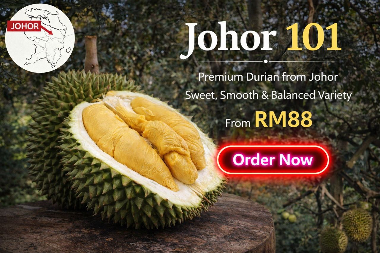 WhatsApp Image 2026-03-19 at 7.23.12 PM