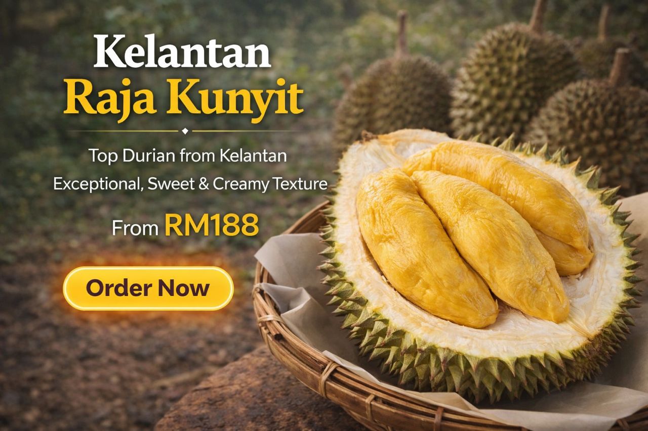 WhatsApp Image 2026-03-19 at 8.09.36 PM